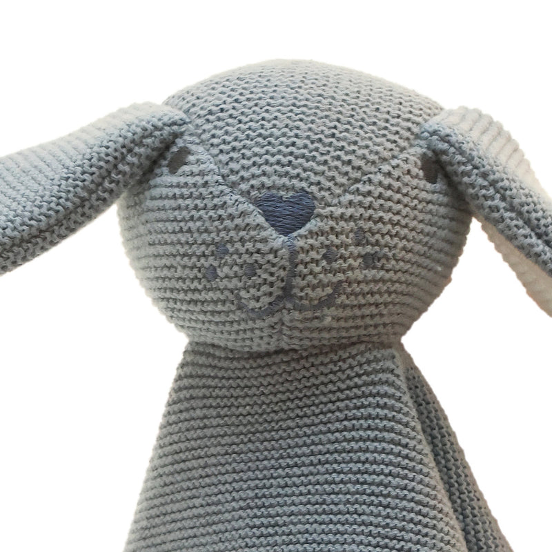 Blue Bunny